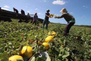 Ceará Com Coronavírus A Indústria E Agronegócio Podem Se Beneficiar 27 de fevereiro de 2020