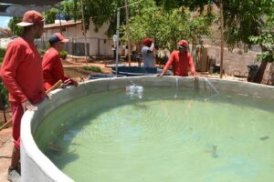 Reservatório De Tilápias Construidos Por Presos Em Janaúba MG 15 de fevereiro de 2020