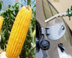 Pioneira Em Produção De Etanol De Milho Investe Em Mais Três Usinas 21 de março de 2020