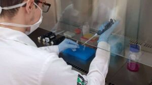 No Paraná Coronavírus sobe para 445 casos e 10 mortes 05-04-2020