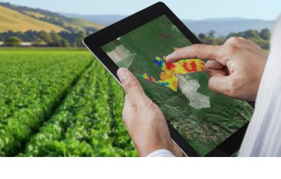 Aplicativo de gestão agropecuária