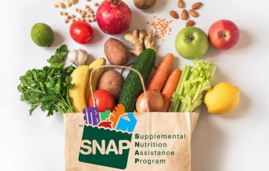 Conheça o SNAP (Programa de Assistência Nutricional Suplementar)